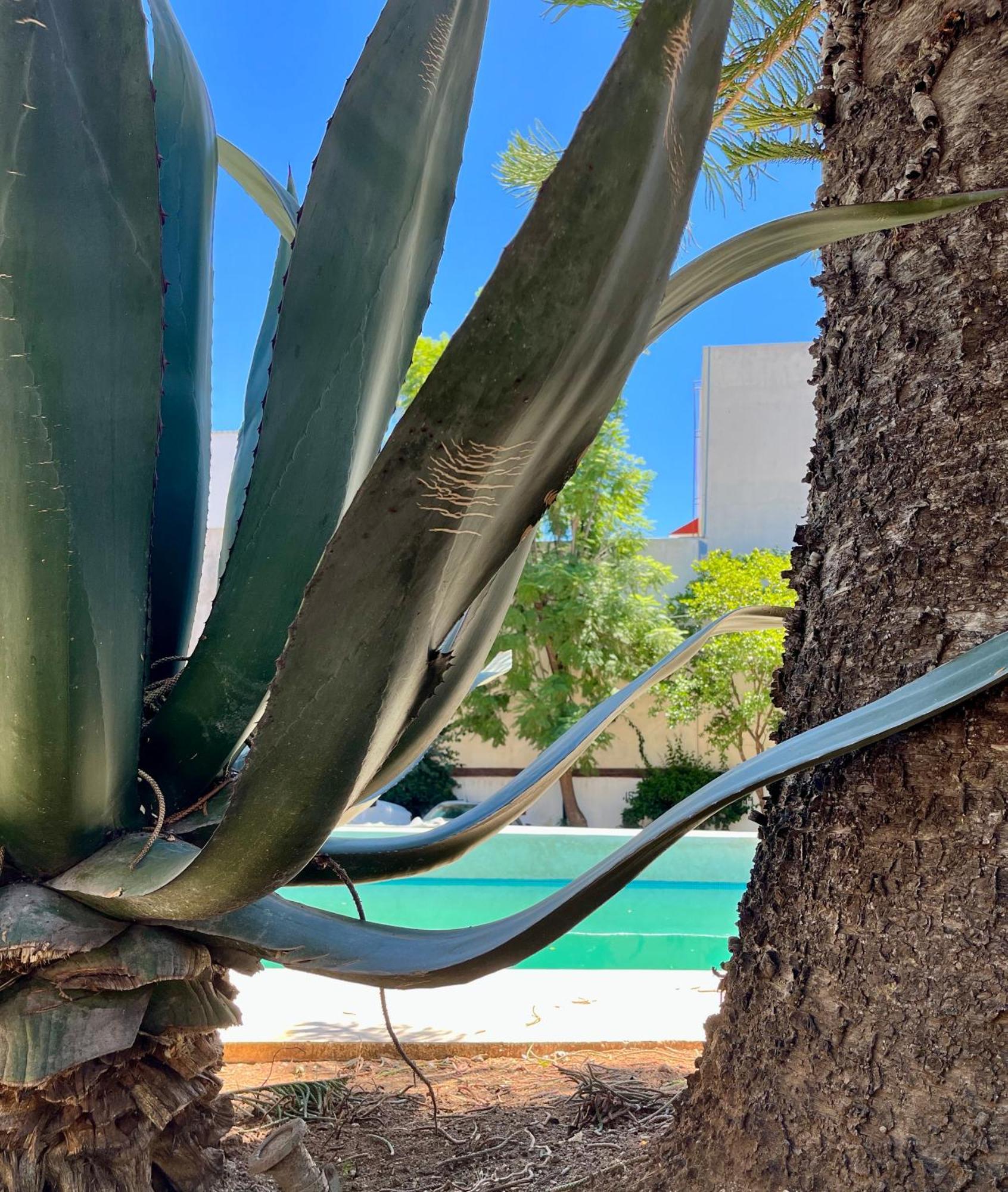 Villa Santa Julia Oaxaca Екстер'єр фото